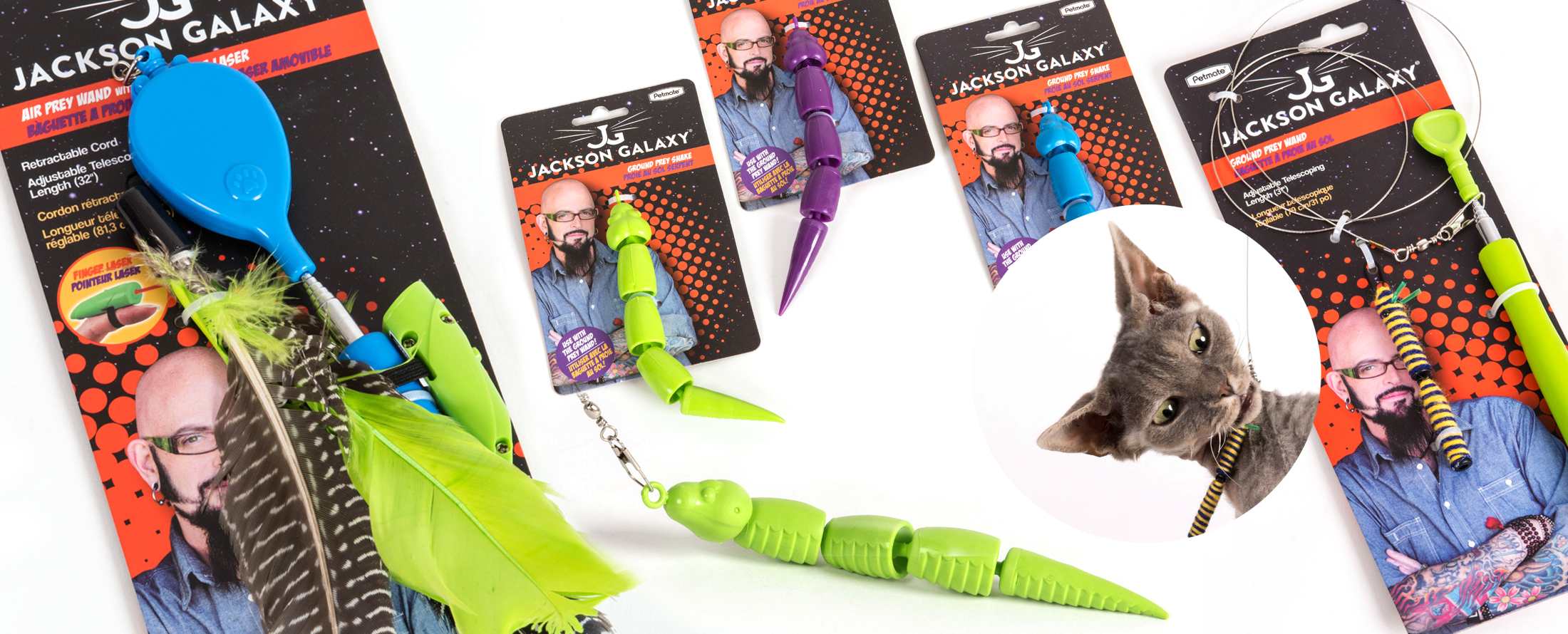 Jackson Galaxy And Kate Benjamin Cat Toys And Cat Books